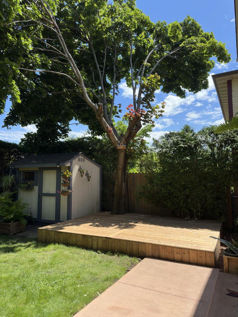 Sunski Construction project